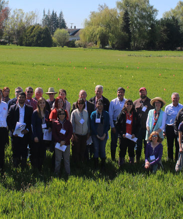 2016 Team Picture of Biodegradable Mulch group 